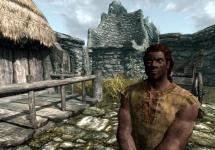 Скайрим таланты рас. Расы Skyrim. Выбираем жителя лесов